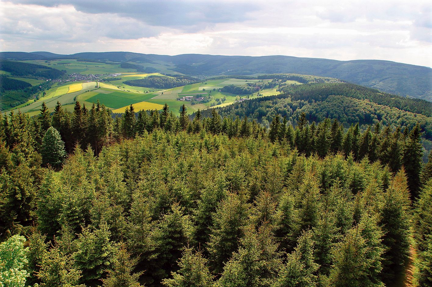 Panoramablick vom Dommelturm