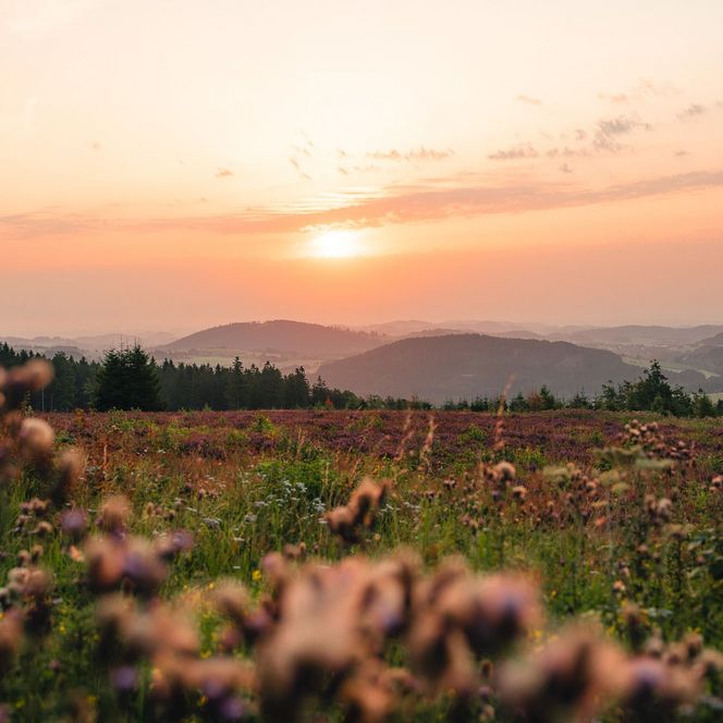 Blick vom Ettelsberg bei Sonnenaufgang