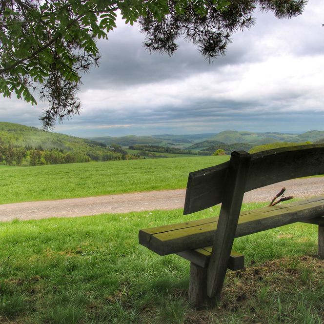 Blick in die Landschaft am Diemelsteig mit einer Bank 