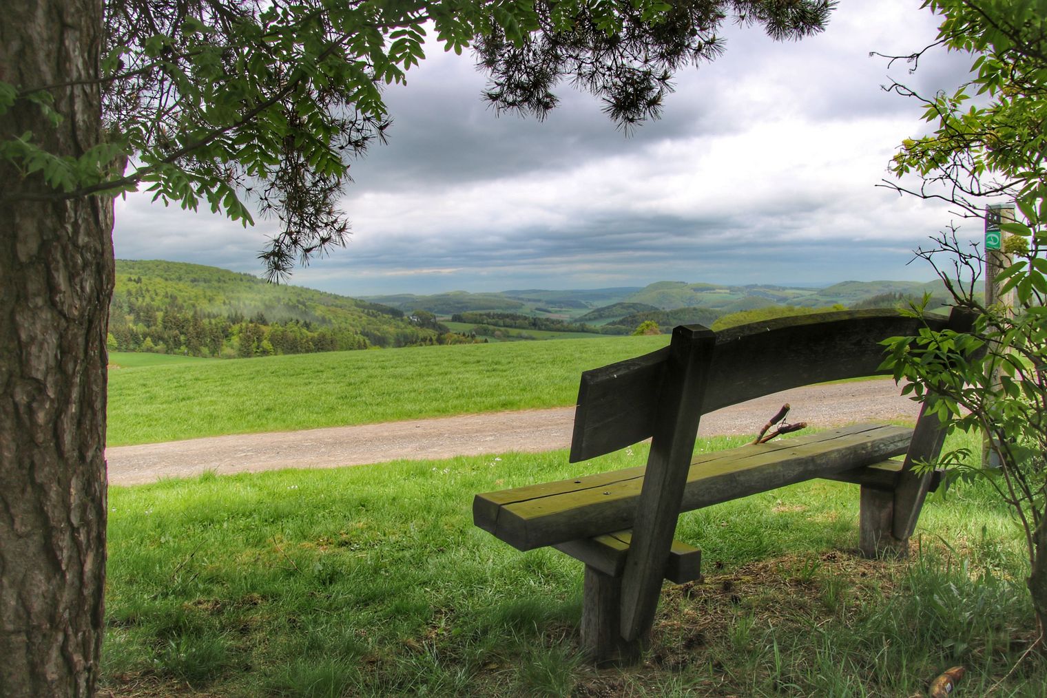 Blick in die Landschaft am Diemelsteig mit einer Bank 