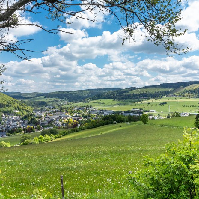 Blick vom Treis auf Willingen im Frühling