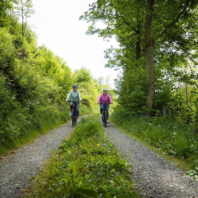 2 Radfahrerinnen auf einem Wald- und Wiesenweg in Brilon