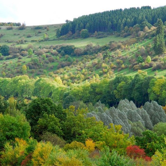 Obermarsberg im Herbst