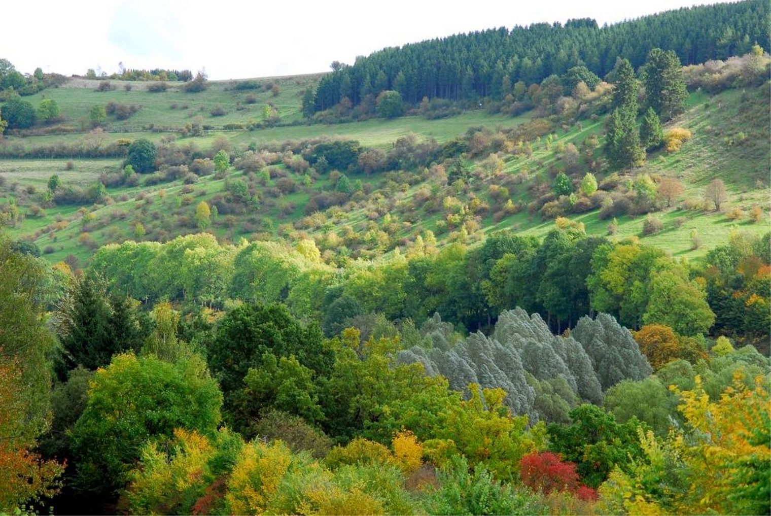 Obermarsberg im Herbst