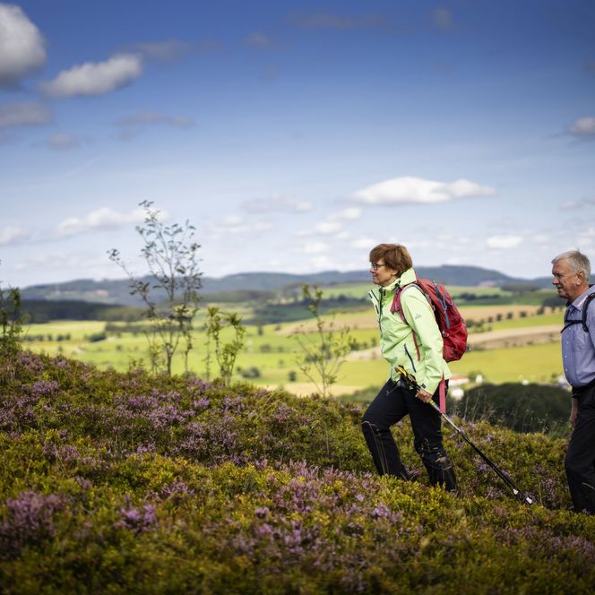 Wanderer an einem mit Heide bewachsenen Hang mit tollem Ausblick