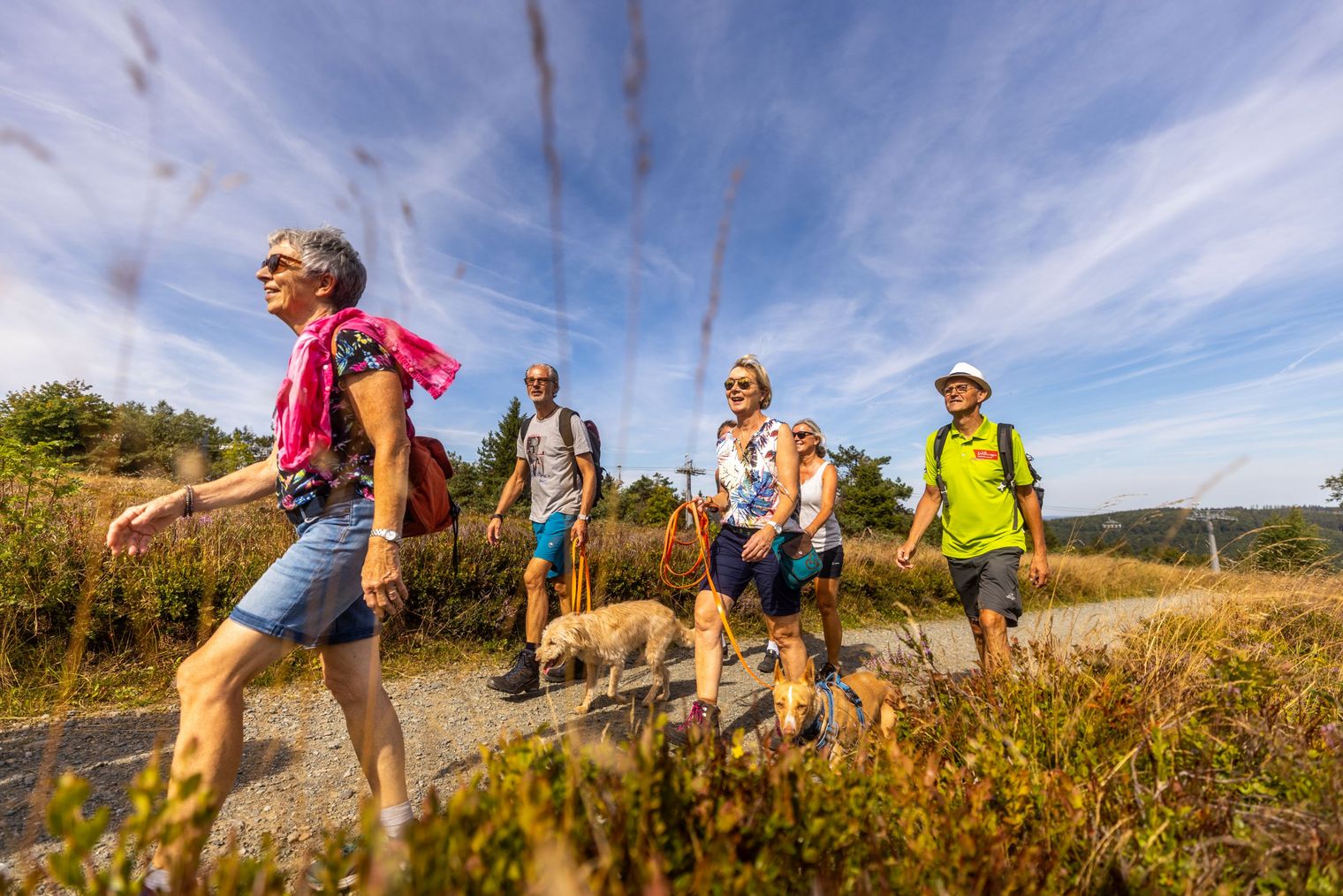 Wanderer auf dem Ettelsberg