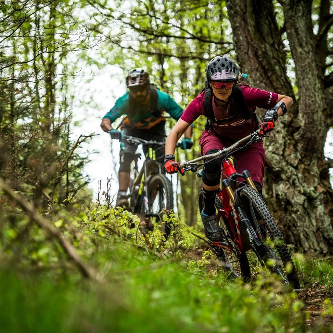 2 Mountainbiker fahren bergab durch frischen Frühlingswald