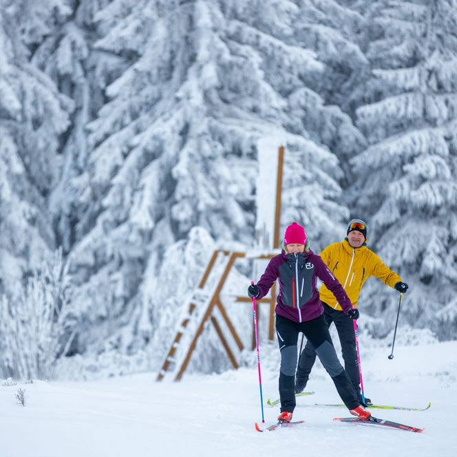 Langläufer vor verschneiten Tannen und dem großen Stuhl auf dem Ettelsberg
