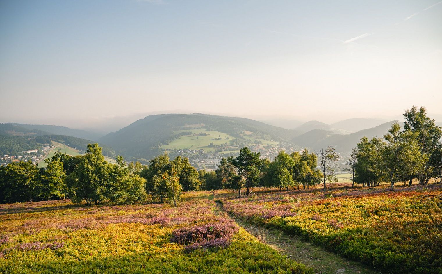 Blick vom Ettelsberg mit blühender Heidelandschaft