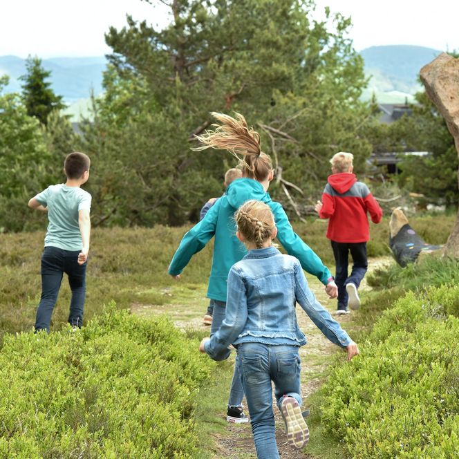 Kinder rennen um die Wette durch Sträucher auf dem Ettelsberg