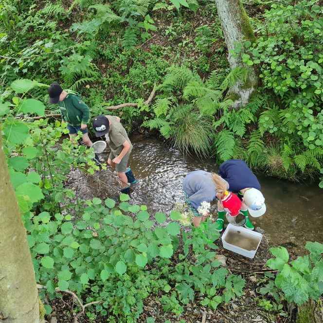 Kinder bearbeiten das Modul Wasser im Naturpark Diemelsee