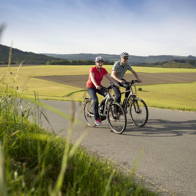 Paar auf E-Bikes in einer Wiesenlandschaft