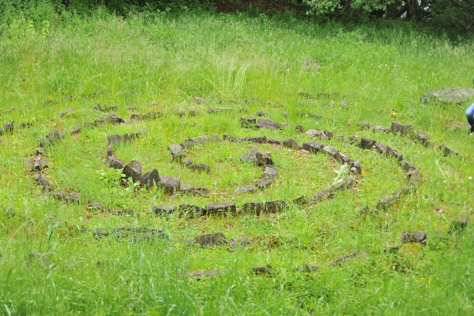 Labyrinth mit frischem grünen Gras am Steinbruch Hengböhl
