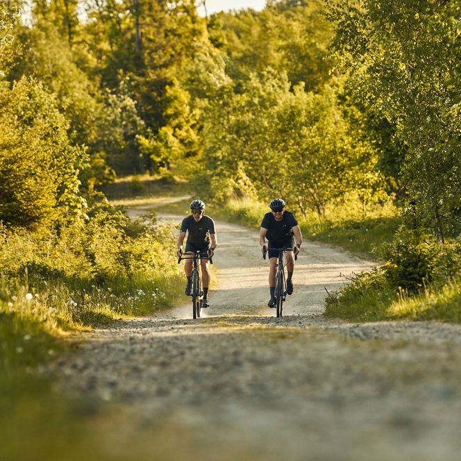 2 Gravelbiker fahren durch einen sonnendurchflutetenWald