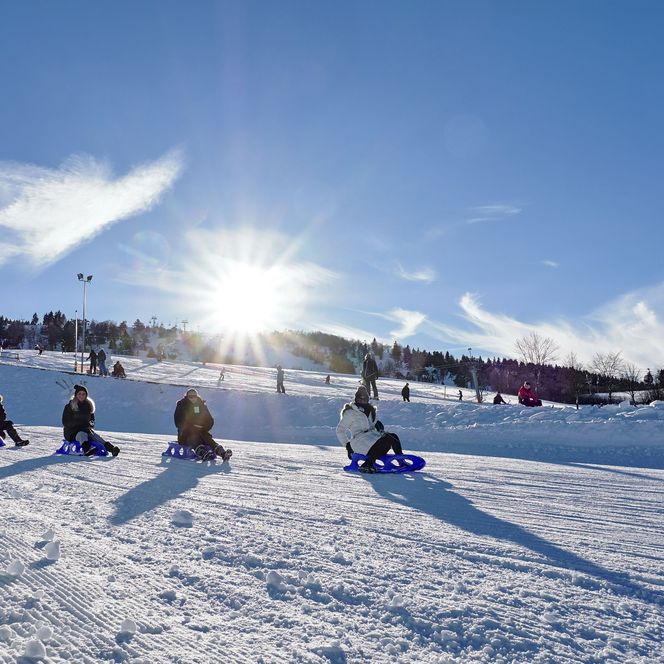 Gruppe Frauen rodelt auf der Dorfwiese, im Hintergrund der Ettelsberg 