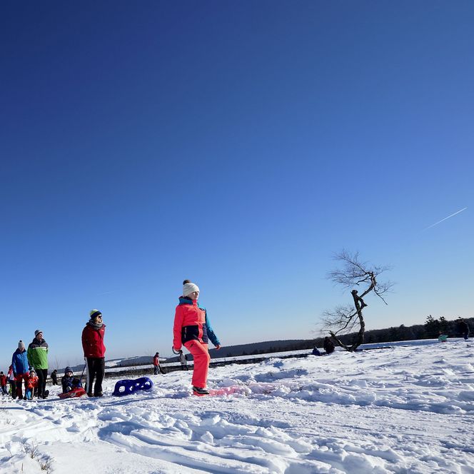 Familie mit Kindern wandert auf dem Ettelsberg im Schnee unter strahlend blauem Himmel