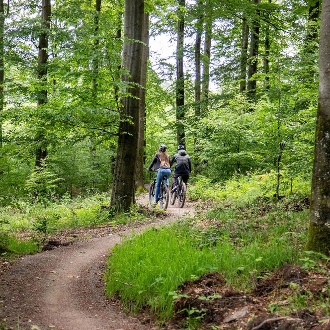 Mountainbiker-Paar auf der Gipfel-Runde der Greentrails in Willingen