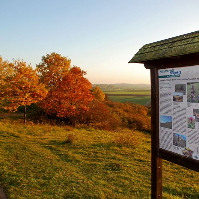 Infotafel auf dem Geopfad Marbeckhänge bei Korbach im Herbst