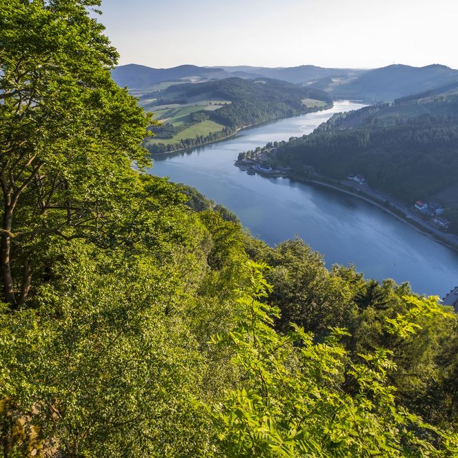 Blick vom Wald auf den Diemelsee