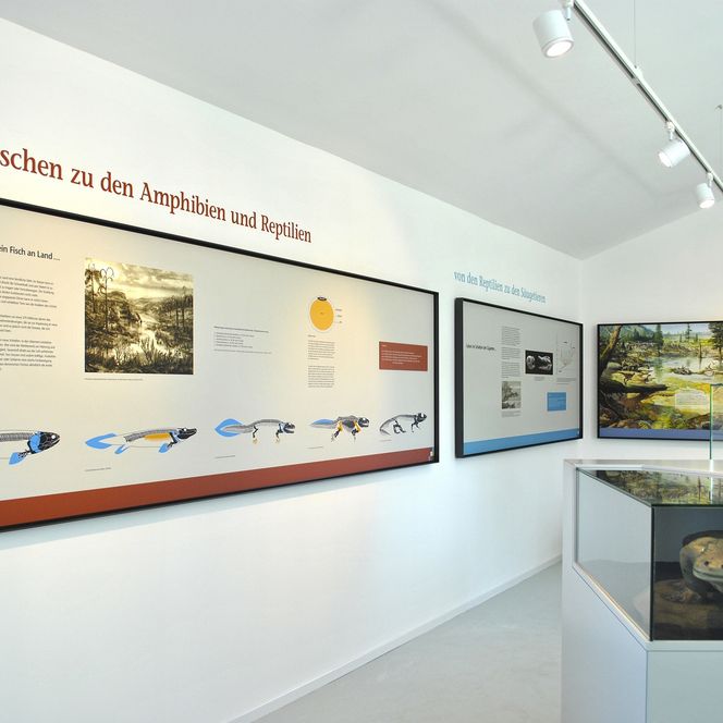 Dachgeschoss im Kalkturm Korbach