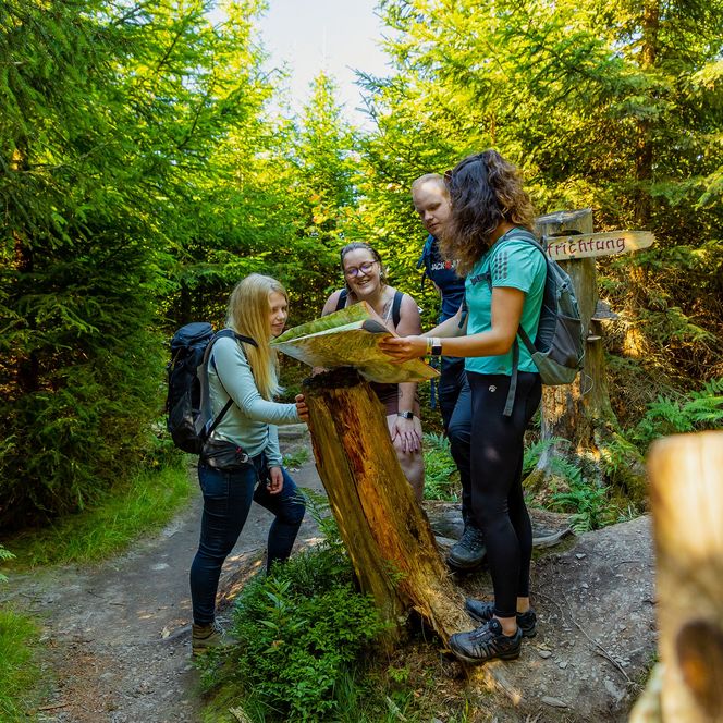 Wandergruppe schaut auf eine Wanderkarte in Willingen 