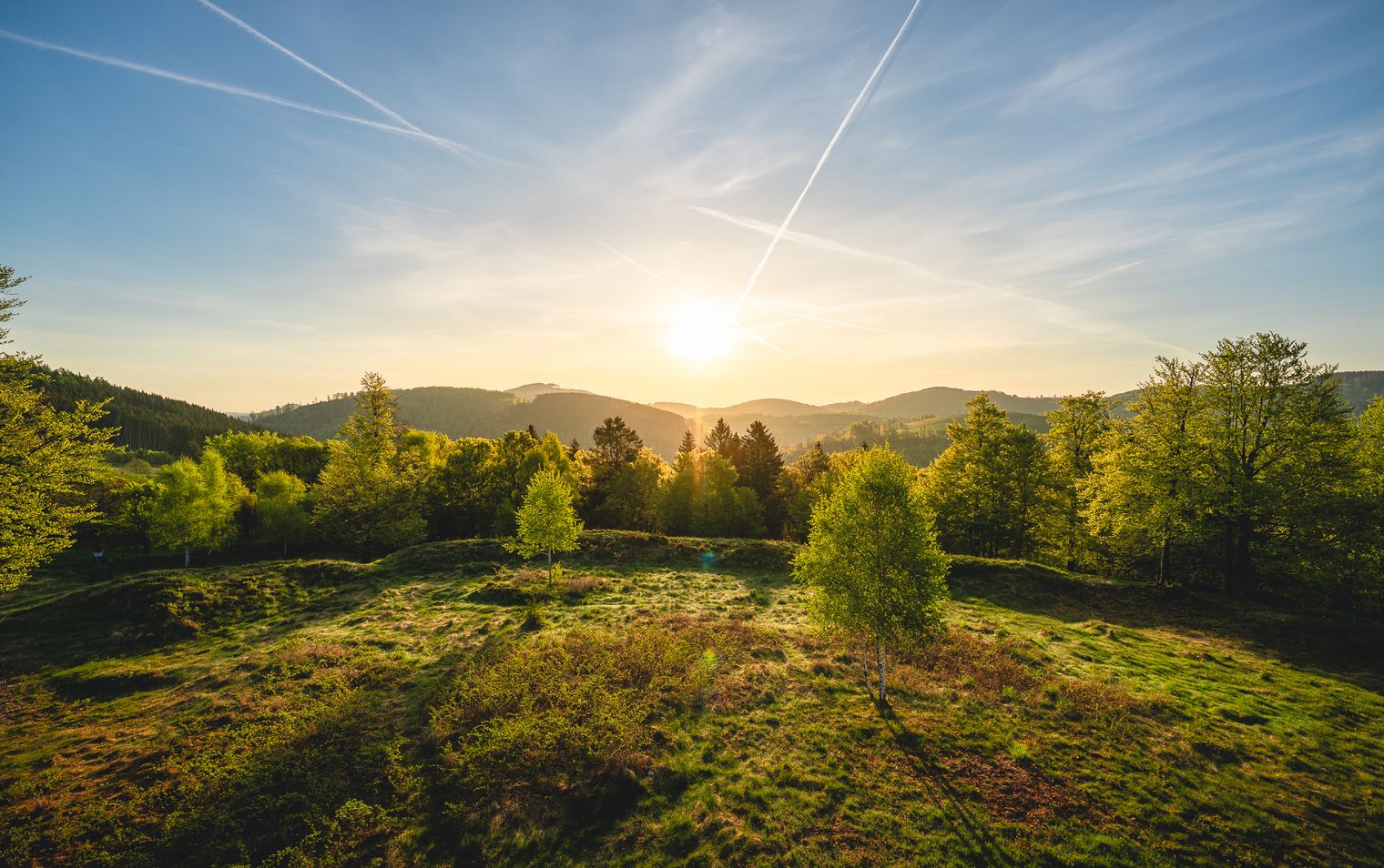 Sommerlandschaft auf der Schwalenburg bei Sonnenaufgang