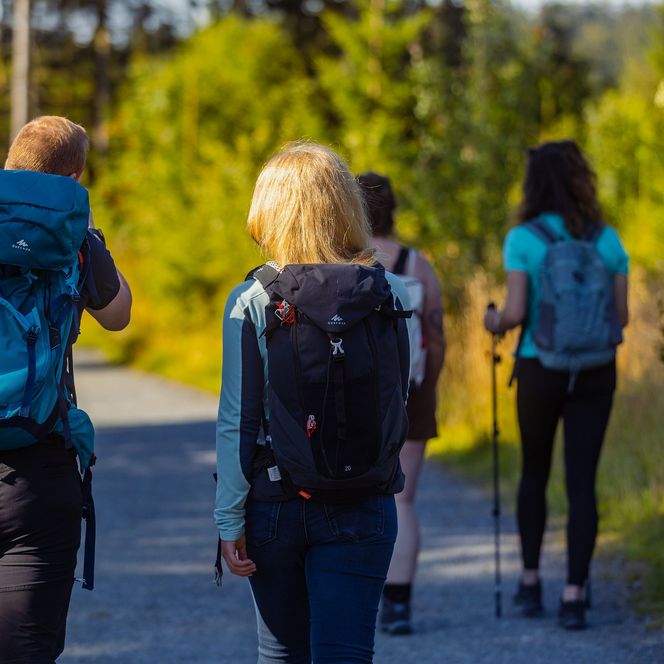 Rückansicht einer Wandergruppe auf dem Ettelsberg