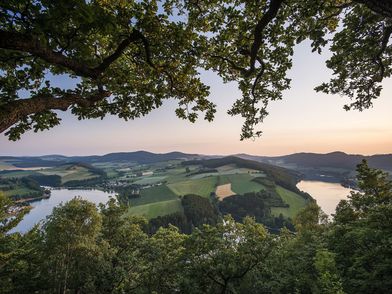Stimmungsvoller Panoramablick durch Bäume auf den Diemelsee im Abendlicht