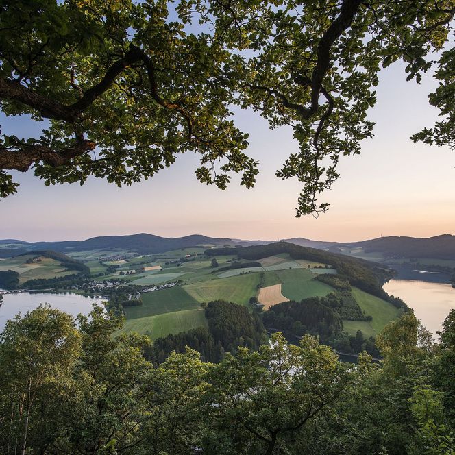 Stimmungsvoller Panoramablick durch Bäume auf den Diemelsee im Abendlicht