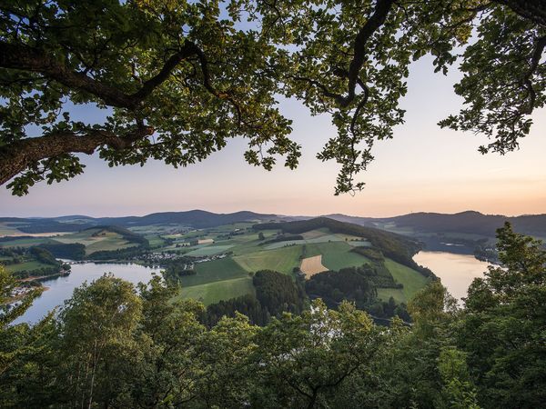 Stimmungsvoller Panoramablick durch Bäume auf den Diemelsee im Abendlicht