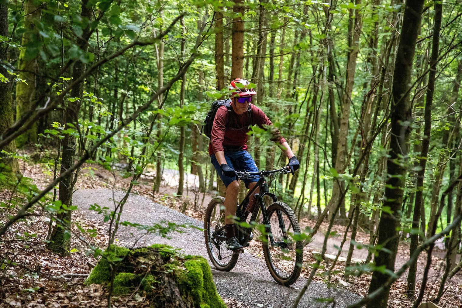 Mountainbiker im Wald der Gipfel-Runde der Greentrails in Willingen