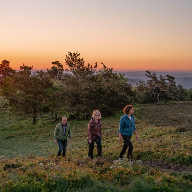 Wandergruppe in der Heidelandschaft bei Sonnenuntergang