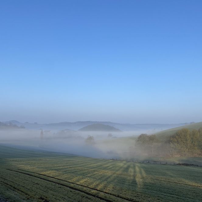 Blick auf Heringhausen im Nebel