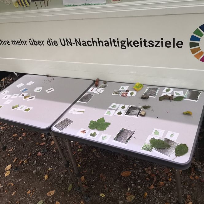 Präsentation des Moduls Wald im Umweltbildungsmobil des Naturparks Diemelsee
