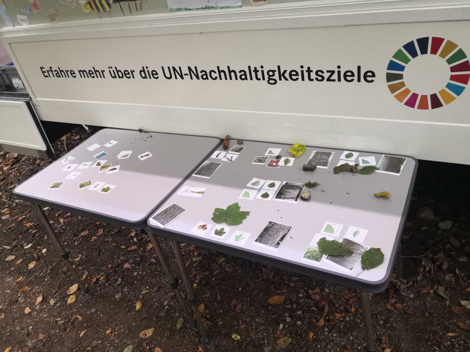 Präsentation des Moduls Wald im Umweltbildungsmobil des Naturparks Diemelsee